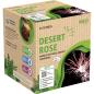 Preview: Desert Rose, 25 Schuss